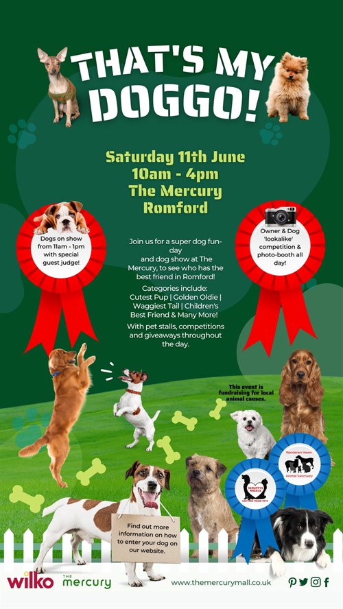 Dog Show Competition Guidance