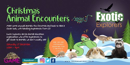 Christmas Animal Encounters