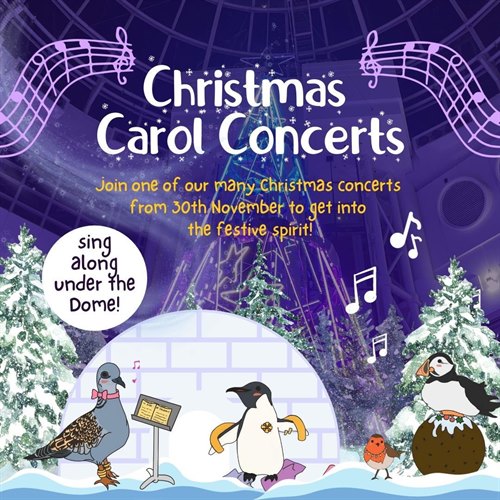 Christmas Carol Concerts at The Mercury